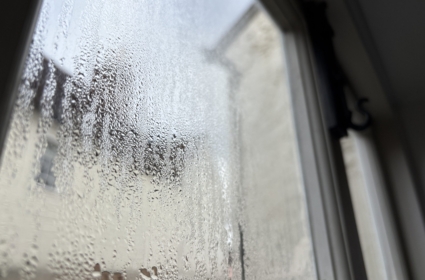 Independent surveyor investigating condensation and mould risk